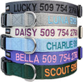 Personalized Dog Collar with Pet Name and Phone Number J681