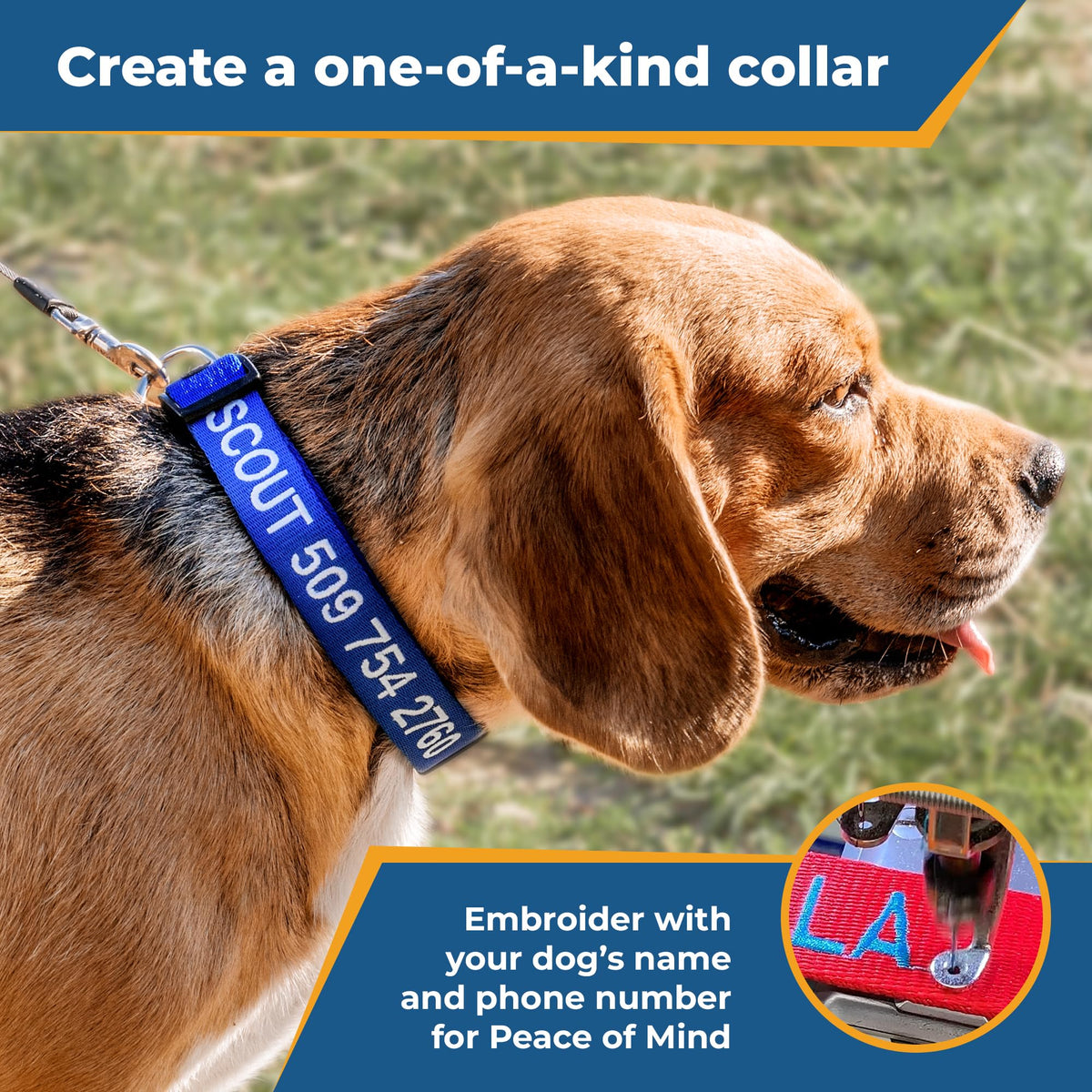 Personalized Dog Collar with Pet Name and Phone Number J681