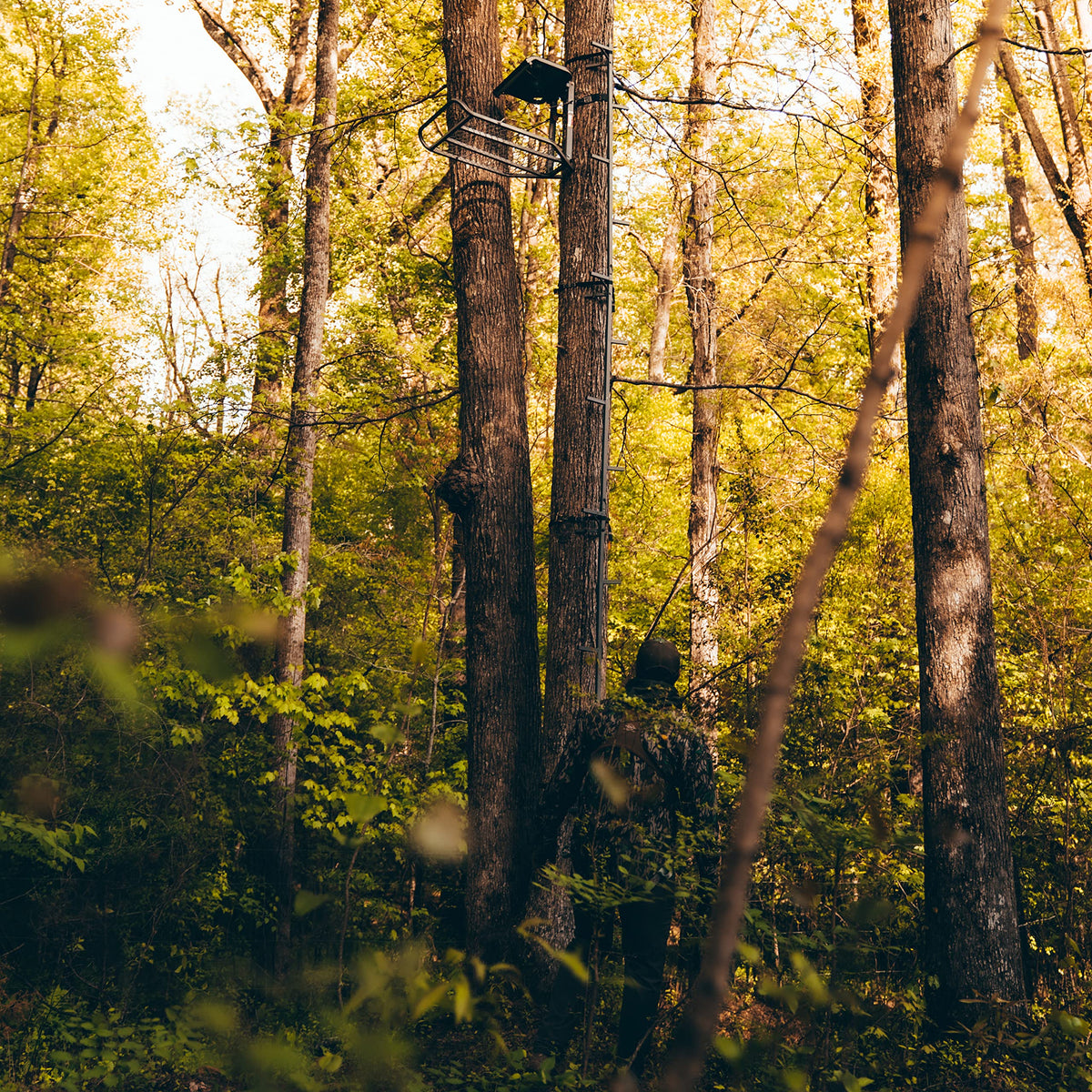 20’ Tree Climbing Stick A418337
