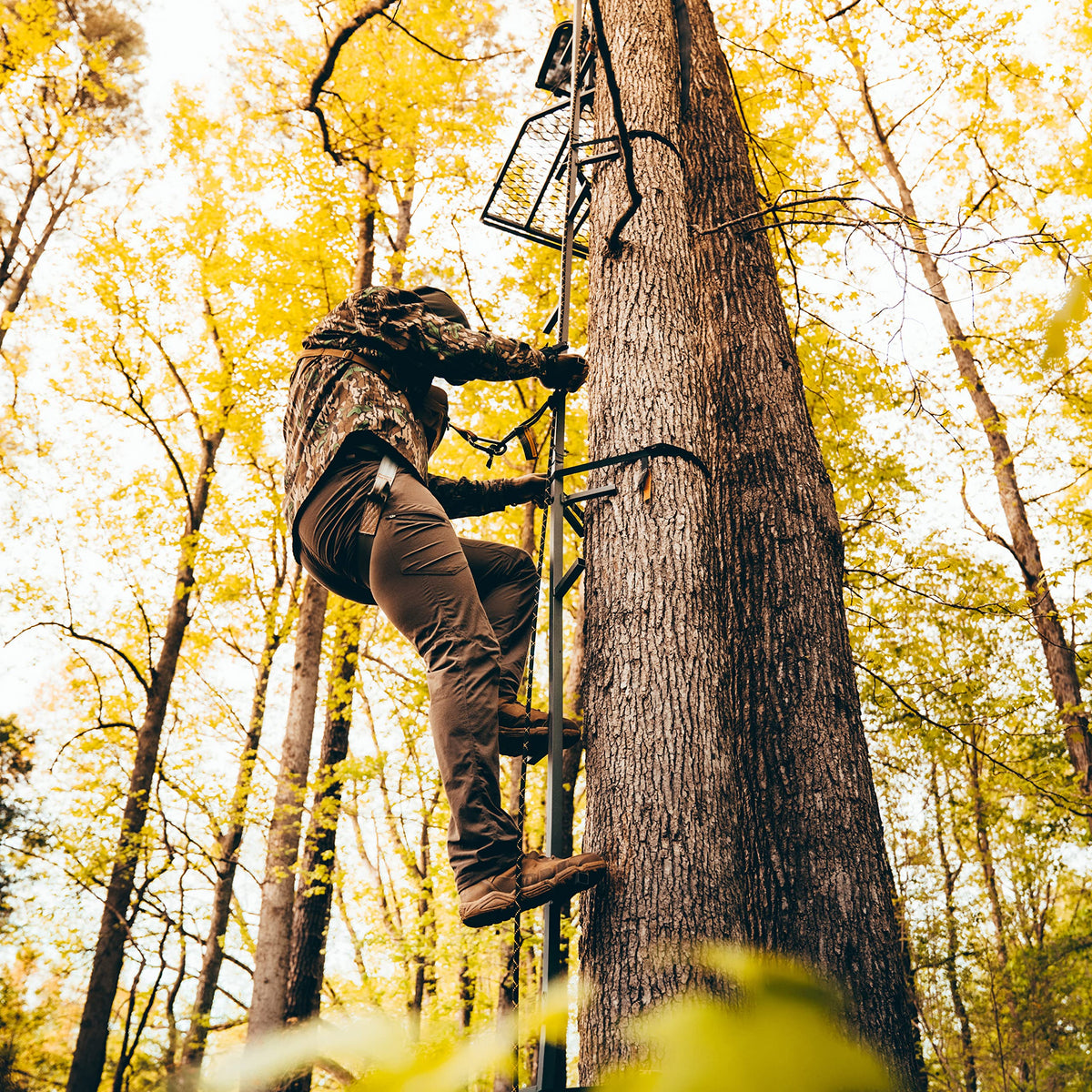 20’ Tree Climbing Stick A418337